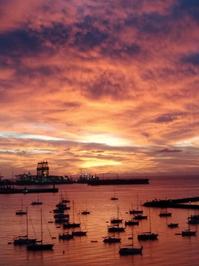 Calandria Palmas * Las Palmas de Gran Canaria