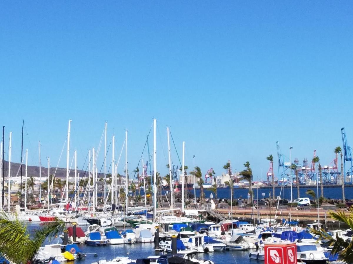 Calandria Palmas Las Palmas de Gran Canaria